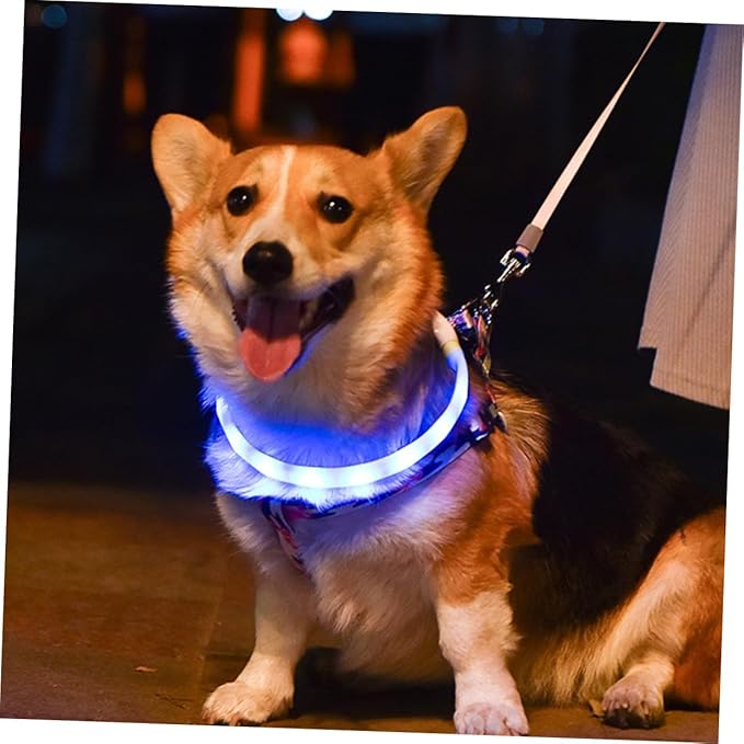 USB Rechargeable Luminous Pet Collar LED Dog Neck Strap Lightweight Night Safety Light for Walking Dogs Easy to Use and Cut to Fit