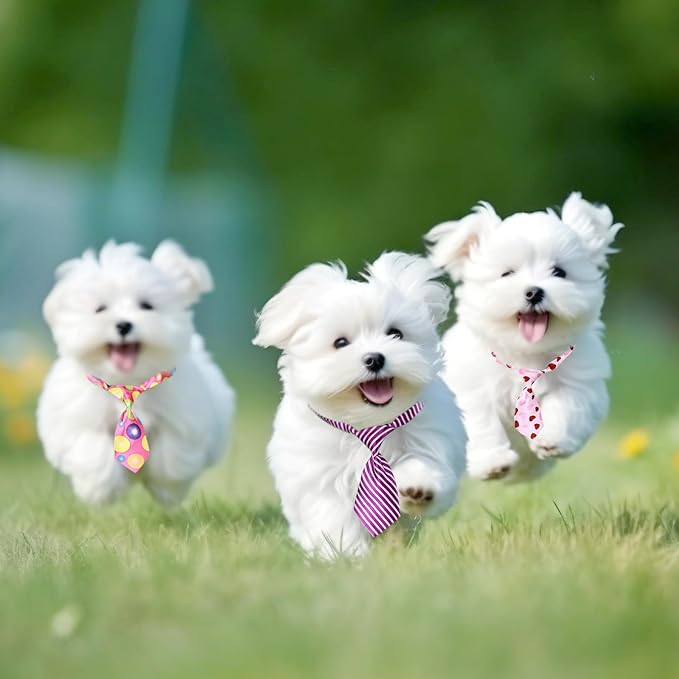 Segarty 60 PCS Adjustable Small Dog Ties, Assorted Pattern Pet Bow Ties for Small Dogs Bows Cats Grooming Bowties Puppy Neckties Festival Valentine Photography Birthday Gift Party Holiday Costumes