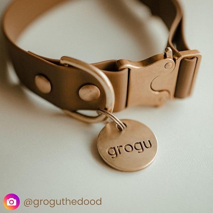 Solid Brass PET TAG - Modern, Minimal Pet IDs. Durable, Lifetime Tags with deep Cut Text. Includes Space for Two Phone Numbers. (Short)