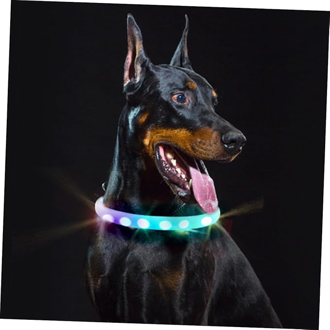 HEMOTON LED Dog Collar Luminous Glowing Pet Collar USB Rechargeable Waterproof Night Safety