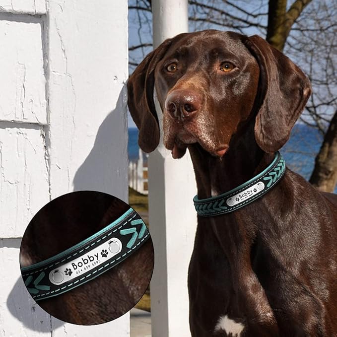 Personalized Dog Collar Customized Dog Collars Padded Pet Collar Name ID Collars for Small Medium Large Dogs Cats Blue XS