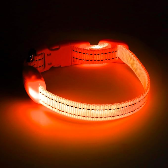 Light up Dog Collar for Small Dog,Vizpet XS Adjustable Size Nylon Collar USB Rechargeable Bright Safety Pet Collar for Cats Dogs (Orange)