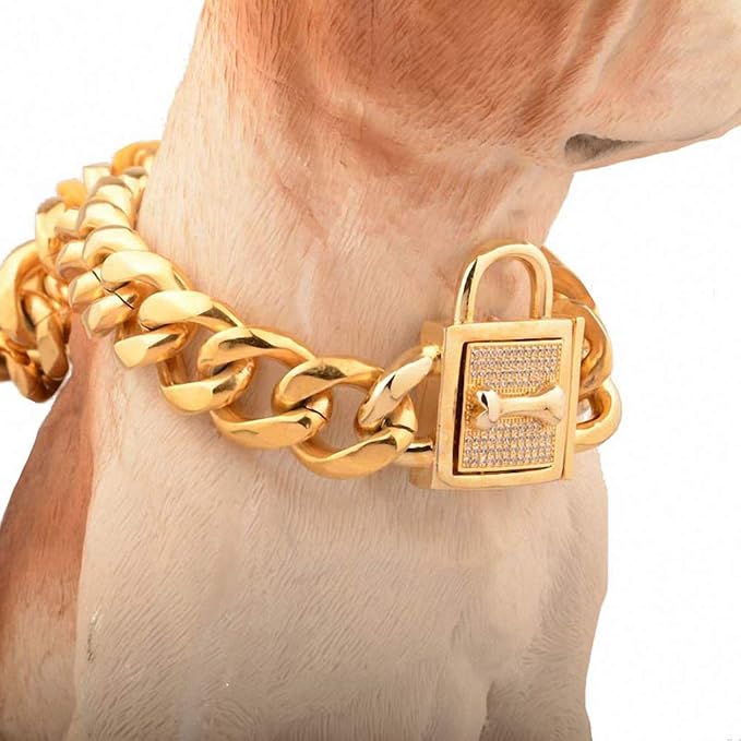 Lakke 19mm Golden Lock Stainless Steel Pet Dog Collar Apparels Metal Durable Puppy Dog Cat Gold Silver Collar Training Necklaces 10A