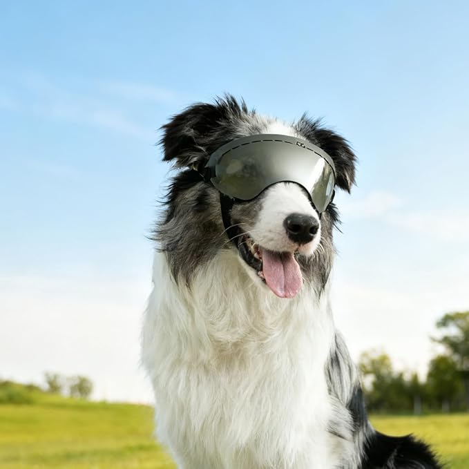 Dog Goggles UV400 Protection,Ski Goggles for Large Breeds with Adjustable Strap, Dog Sunglasses with Comfort-Focused Frameless Design - UV-Resistant/Windproof/Snowproof for Running,Cycling (Sliver)
