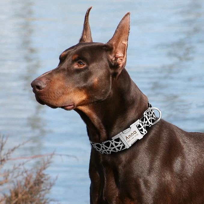 Dog Collar Personalized Nylon Small Dogs Puppy Collars Engrave Name ID for Small Medium Large Pet Pitbull German Shepherd 4 M