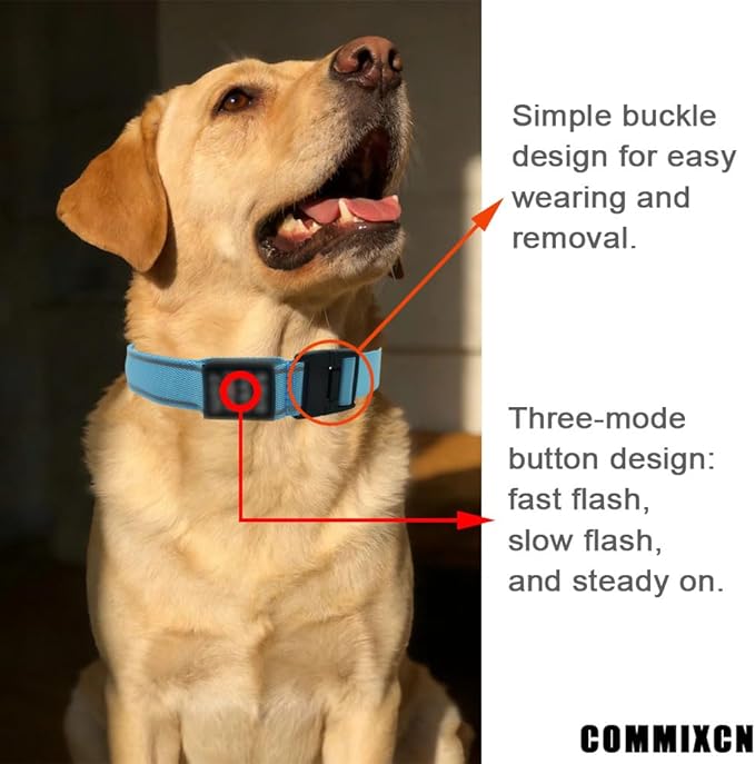 COMMIXCN 2 Pack LED Dog Collar, Light Up Reflective Collar for Small Medium Large Dogs, Universal Use with Standard Buckle, Adjustable for Night Walking Hiking Camping Outdoor (Blue)