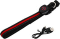 Glowing Pet Dog Collar USB Rechargeable Night Luminous Collar 50cm Red for Small to Medium Dogs, Three Flashing Modes, Suitable for Teddy, Golden Retriever, Bichon Frise