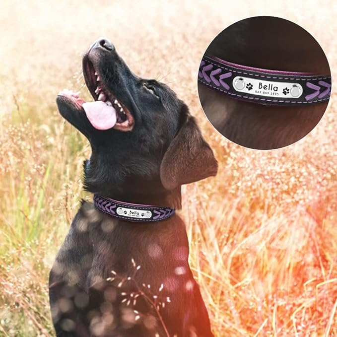 Personalized Dog Collar Customized Dog Collars Padded Pet Collar Name ID Collars for Small Medium Large Dogs Cats Purple M
