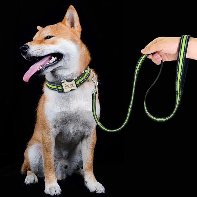Custom Pet Dog Collar Leash Reflective Nylon Small Dog Puppy Collars Personalized Pitbull Medium Large Dog Collar Engrave Name Green Set L