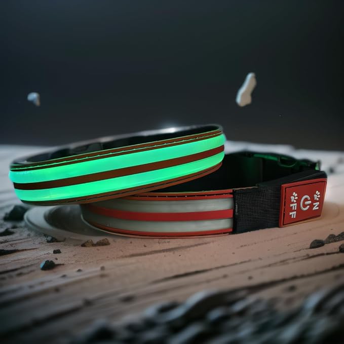 Dog Collar with Lights, 15 Lighting Modes Silicone Pet Collar, USB C Rechargeable LED Dog Collar for Night Safety, Adjustable Soft Glowing Collar for Dogs (DB-RED, XS(7.87-11.8"))