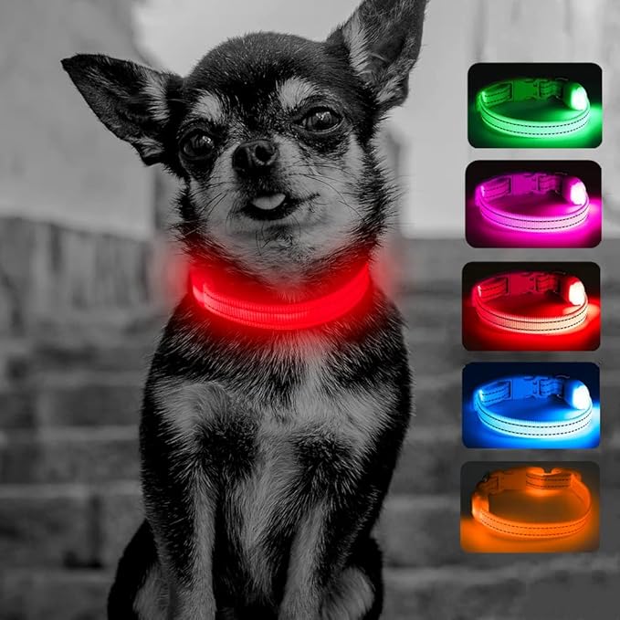 Candofly Light Up Dog Collar for Small Dogs & Cats, Safety Lighted Puppy Collar USB Rechargeable LED Collars for Night Walking Camping (X-Small, Red)