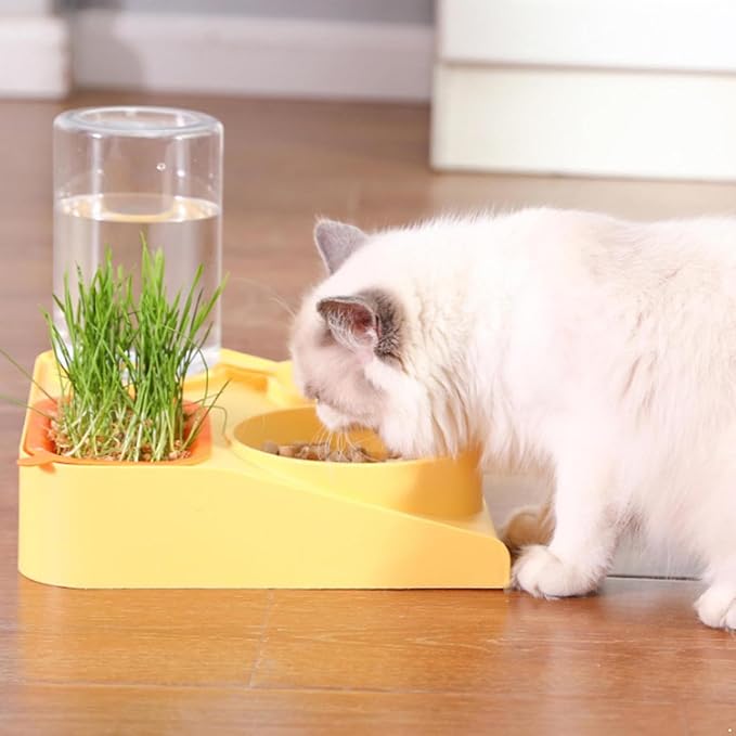 renvena Multi-Functional Dog and Cat Feeder Automatic Water Dispenser Bottle Double Slow Feed Bowls Yellow One Size