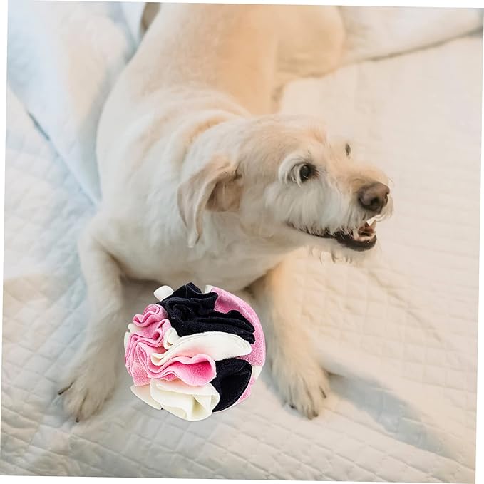Pet Dog Sniff Toy Snuffle Ball Interactive Puppy Chewing Game Slow Feeder for Curious Dogs