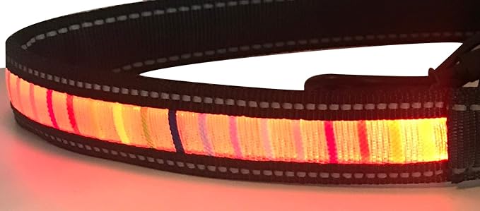 IT'S RIDIC! LED Rainbow Dog Collar Rechargeable via USB (Large, Red LED)