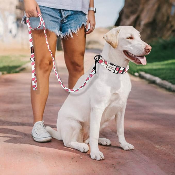 Cute Custom Dog Collar Leash Personalized Fruit Print Nylon Dog Collar Lead Engraved Name ID for Small Medium Large Dog Pitbull 159 White Set L