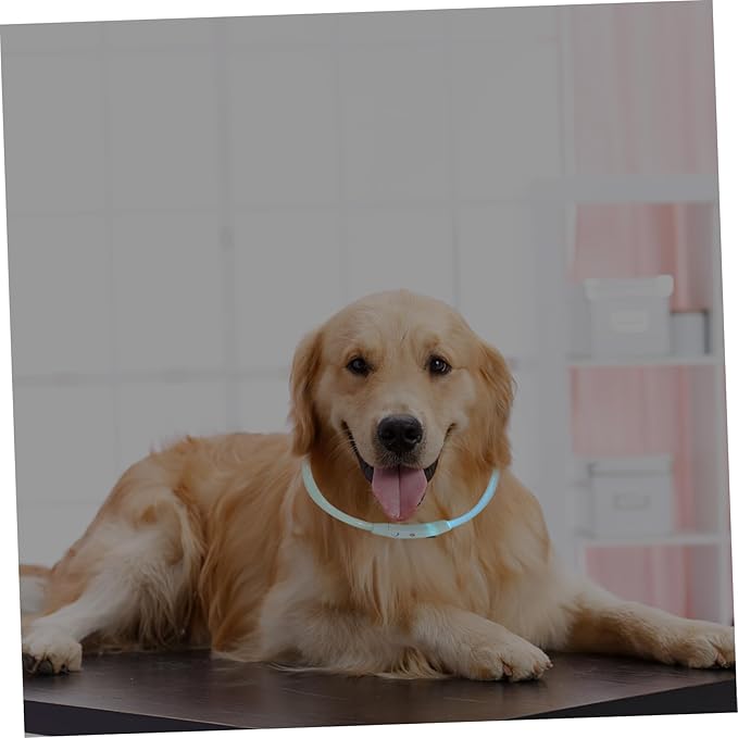 Housoutil 3pcs Led Dog Collar USB Rechargeable Glowing Pet for Night Walking Lightweight and Stylish