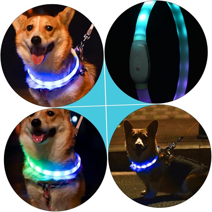 Sosoport USB Rechargeable LED Glowing Pet Collar Durable Flashing Dog Collar with Bright Nighttime Visibility Comfortable Wear Resistant Material for Safe Evening Walks
