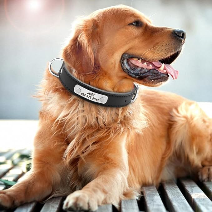 Large Durable Personalized Dog Collar PU Leather Padded Pet ID Collars Customized for Small Medium Large Dogs Cat 4 Size Black S