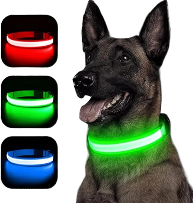 USB Rechargeable Luminous Collar Adjustable Led Glowing Dog Collar for Large Small Dogs Cat Night Light Collar Pet Safety Harnes (Orange USB Charging,XL Neck 42-56 cm)