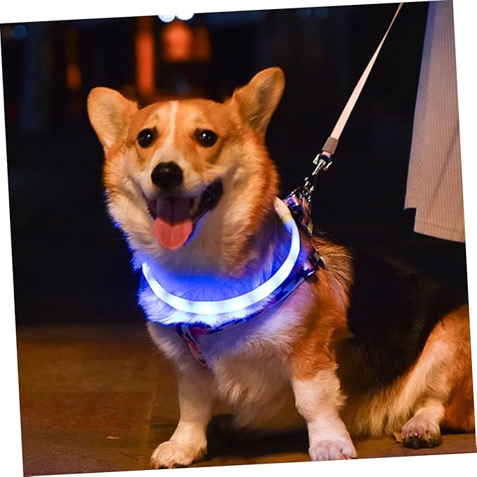 Housoutil 3sets USB Rechargeable Pet Collar Led Dog Collar for Night Safety Multiple Flashing Modes Fit for Your Pet Comfort