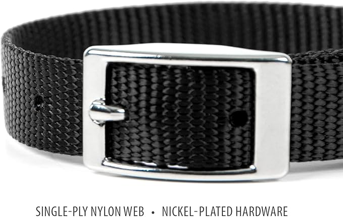 Jeffers Pet Solid Nylon Dog Collars, Black, 5/8" Wx14 L – Adjustable, Durable & Safe for Dogs, Lightweight & Double Ply Design, Stylish Pet Accessories - Perfect for Training, Walking & Tracker