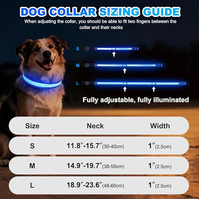 LED Dog Collar, Light Up Dog Collar Adjustable USB Rechargeable High Visibility Dog Light Glowing Pet Collars for Small Medium Large Dogs (Blue, M)