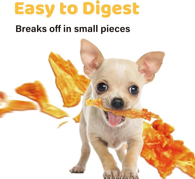 iPaw Turkey Tendon for Dogs, Ingredient Sourced from USA, Hypoallergenic, All Natural Human Grade Puppy Chew, Dog Treats for Signature Series, Rawhide Alternative, 1 Units/Pack Bone (Large)