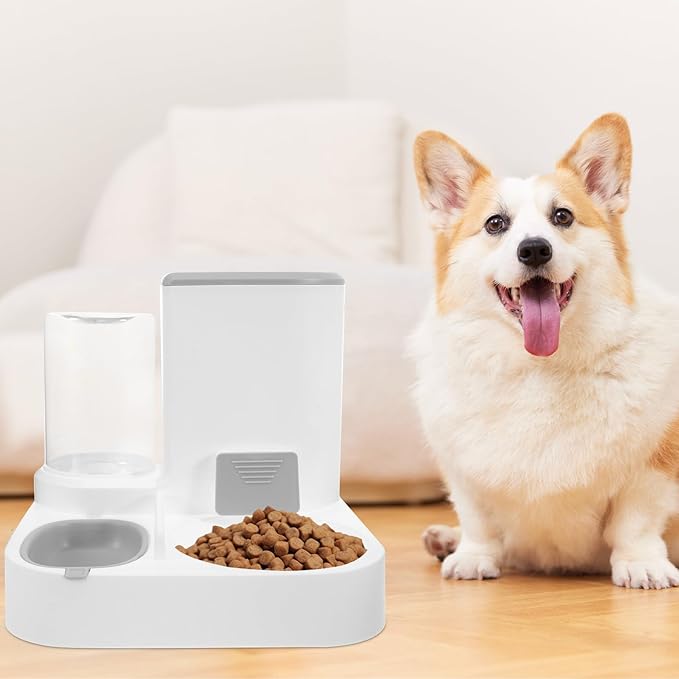 DOITOOL Automatic Pet Feeder and Water Bowl, Large Capacity Dry and Wet Food Separation, Detachable Cat and Small Dog Feeder for Home Use, Gray