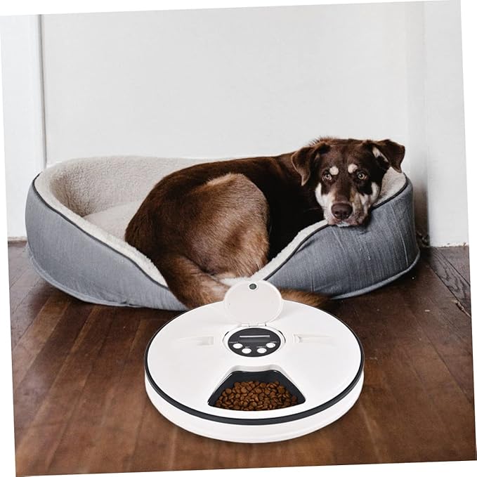 BESPORTBLE Automatic Dog Feeder Timing Detachable Storage Bowl Puppy Feeding Bowls for Dogs