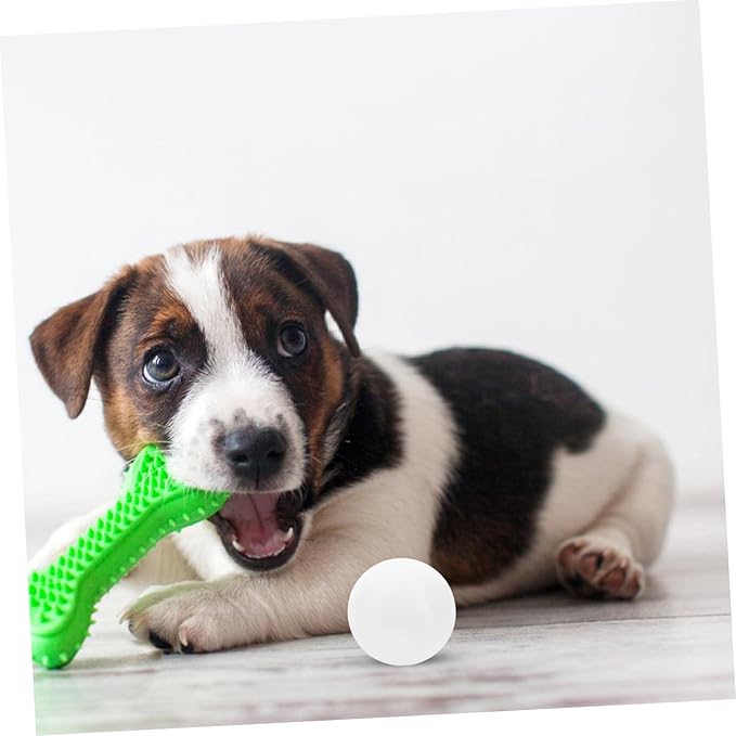 balacoo Scent Training Tool for Dogs Adaptable Nose Work Equipment for Scent Detection and Agility Training for Search and Tracking Dogs