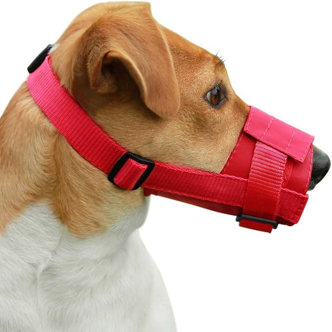 CollarDirect Nylon Dog Muzzle - Adjustable Soft Breathable Nylon Dog Mouth Guard Cover for Small, Medium and Large Dogs, Anti Chewing, Barking & Biting (2 Red, S)