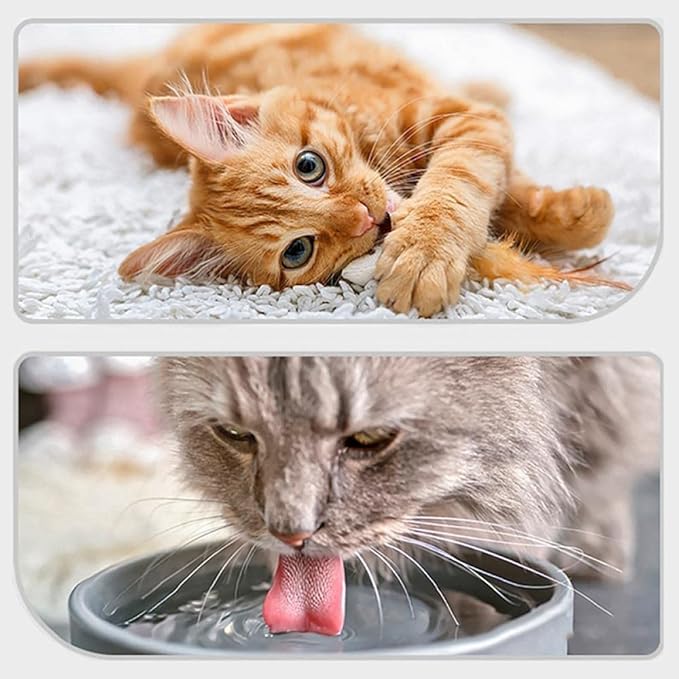 Pets Feeder Bowl Dog Dishes Automatic Pet Cat Water Fountain Dog Cat Pet Mute Drinker Feeder Bowl Pet Drinking Fountain Dispenser Puppy Food Bowl Blue