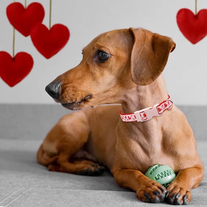 azuza Valentine's Day Dog Collar and Leash Set, Adjustable Pink Dog Collar with Glittery Red Heart Pattern Matching Leash Valentines Day Gifts for Small Dogs