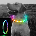 LED Dog Collar- USB Rechargeable Lighted Collar Band, Color Changeable Light Up Pet Collars, Cuttable Dog Safety Lights Glow in The Dark Dog Collars for Night Walking, Fit for Small/Medium/Large Dog