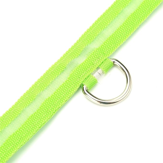 Green Light-Up LED Adjustable Pet Collar (Flashing or Steady Modes) - Rechargeable via USB Cable (Included) by Electronix Express (Medium)
