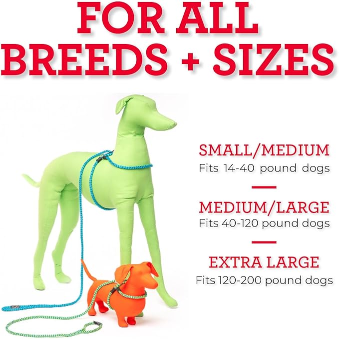 Harness Lead No Pull Dog Harness and Leash Set, Anti Pull Dog Harness, One-Piece Cushioned Rope Safely Prevents Escaping and Pulling *New Insert is Removable (Small/Medium, Rainforest)
