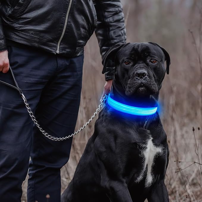 LED Dog Collar, Rechargeable Light Up Dog Collars Glow in The Dark, Adjustable Waterproof Collar Light for Medium Dogs (Blue, M)