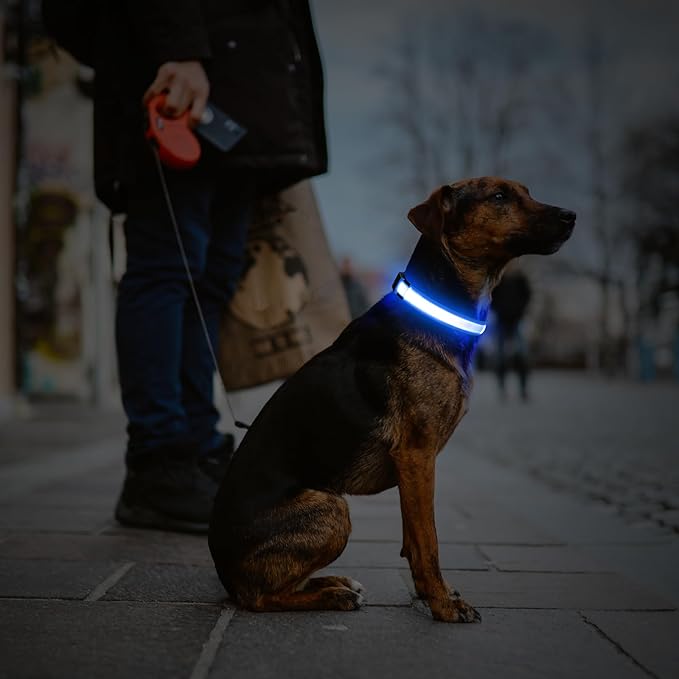 LED Dog Collar, USB Rechargeable Light Up Dog Collars, Adjustable Glow Collars for Dogs,Reusable Safety Dog Collar for Small, Medium, Large Dogs (Blue, Large)