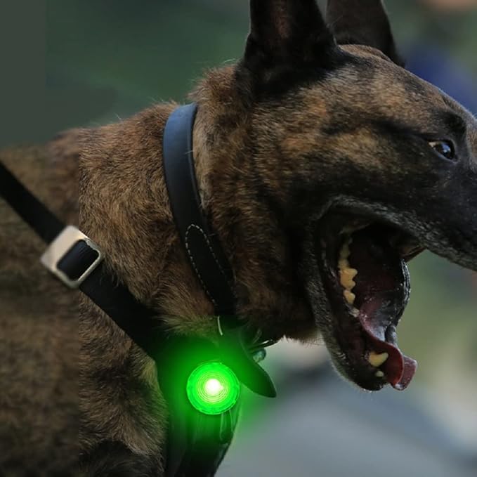 LED Collar Charm Light,Dog Collar Lights for Night Walking,Dog Night Light, Pet Safety Light for Outdoor, 3 Light Modes,USB Rechargable (1 Count, Green)