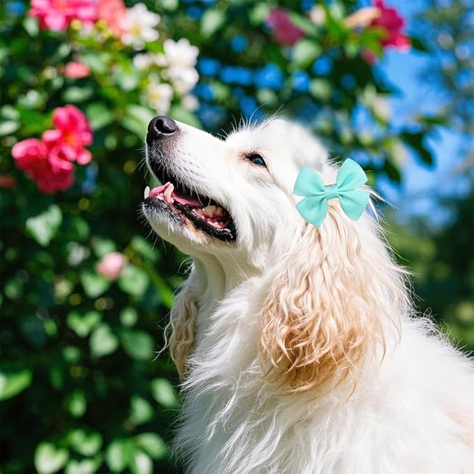 Solid Color Dog Bows Clips, Bulk 40pcs Dog Hair Bows with Metal Clips for Small Medium Dogs Ribbon Material, Mix Handmade Puppy Doggie Barrettes for Dog Hair Grooming Accessories