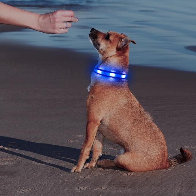 Illumifun Light Up Dog Collar, USB Rechargeable LED Dog Collar Glow in The Dark, Reflcetive Safety Glow Collar for Dogs Walking at Night (Small, Light Blue)