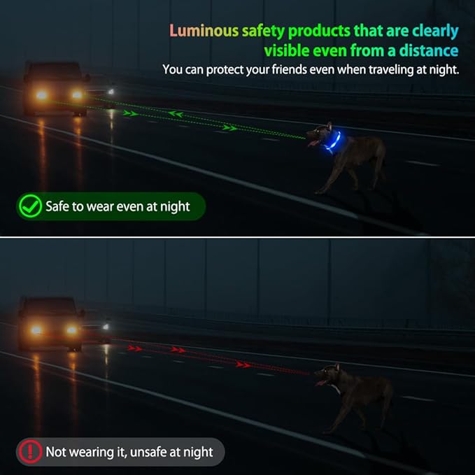 Illumifun Light Up Dog Collar, USB Rechargeable LED Dog Collar Glow in The Dark, Reflcetive Safety Glow Collar for Dogs Walking at Night (Small, Light Blue)
