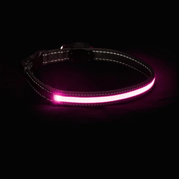 Sherry Kline LED Light-Up Pet Collar - USB Rechargeable - Flashing Glow in The Dark Size Large, Color: Pink