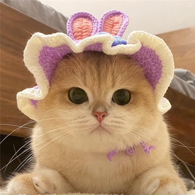 QWINEE 3D Ear Design Knit Cute Dog Hat Soft Cat Hat Rabbit Hat Halloween Christmas Party Costume Head Wear Accessories for Puppy Cat Kitten Small Dogs Small Animals Purple M