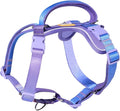 DF Freedom No Pull Martingale Dog Harness, Gentle Control for No Choking, Front Clip Harness with Reflective, Adjustable & Padded Handle for Easy Walking & Training, Rainbow, 1", Chest 22.4"-30.4"