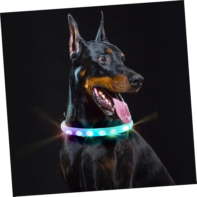 LED Pet Dog Collar USB Rechargeable Luminous Glowing Collar Waterproof White Pet Collar for Safe Evening Use