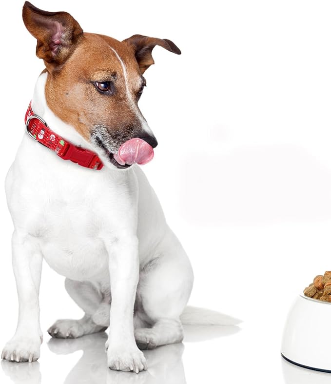 Beaupretty Christmas Dog Collar Quick Release Soft Fabric Pet Collar Snowman Red M Size Decorative Puppy Neck Accessory for Small Dogs Outdoor Use