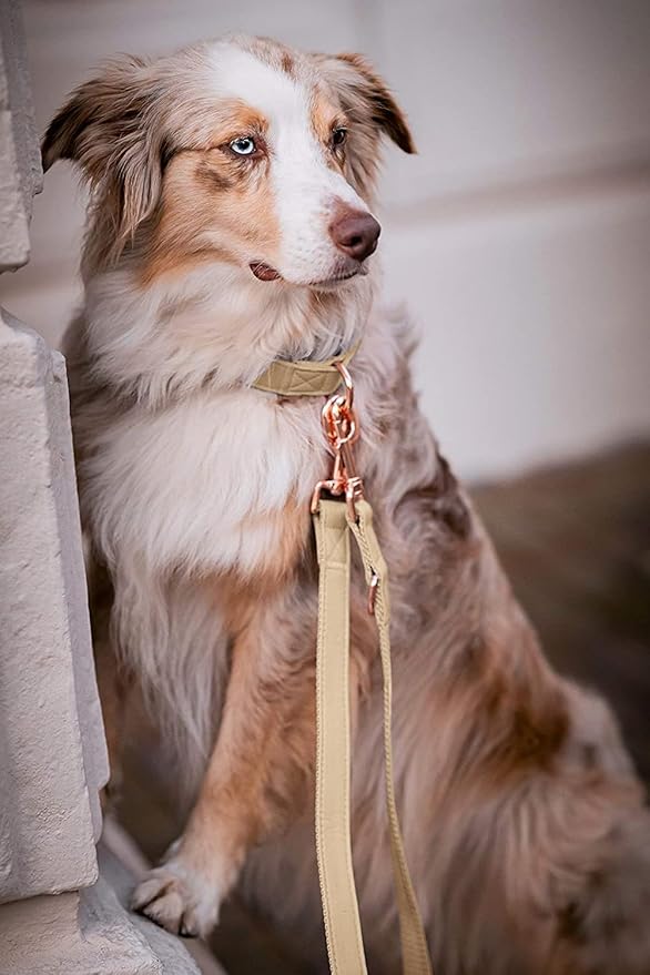 Soft Leather Dog Collar and Leash (6.6') Set - Stylish Rose Gold Heavy Duty Metal Buckle, 4 Adjustable Lengths Leash for Small Medium Large Dogs - Comfortable & Easy to Clean Beige L(15.4"-24.8")