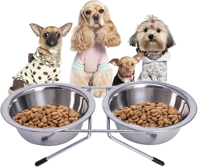 Pet Automatic Feeder + Waterer for Cat Stainless Steel Bowl Anti-Leak Water Fountain 2 in 1 Pet Tableware Dog Water Feed