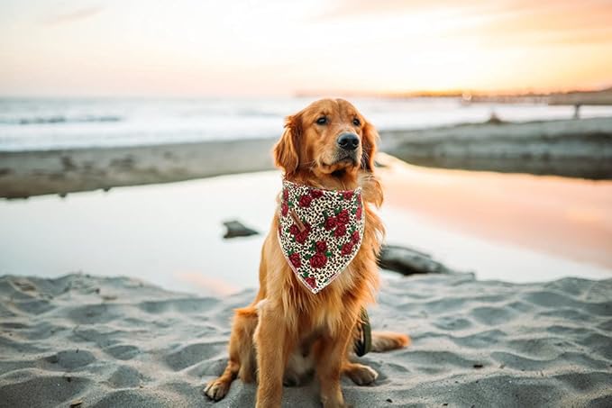 Lionheart glory Dog Bandana 1 Pack Washable Soft Cotton Rose Leopard Bibs Scarf, Adjustable Kerchief Square Dog Bandanas for Small Dogs